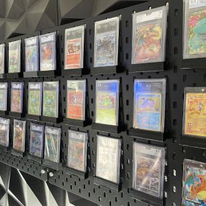 Pokemon Kartenhalter zum aufhängen